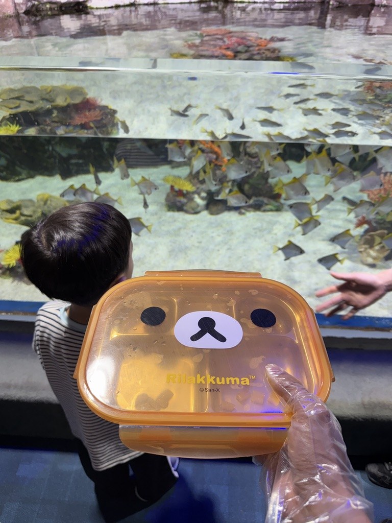 잠실 롯데월드 아쿠아리움 물고기 도시락 체험 후기·꿀팁 (아이 둘)